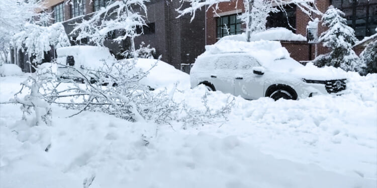 Thousands in Cold, Dark After Monster Cyclone Drops Record Snowfall in Northeast