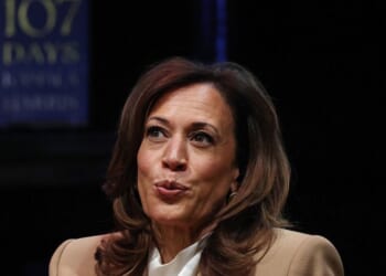 Harris teases she ‘might’ run for president again in 2028 – One America News Network