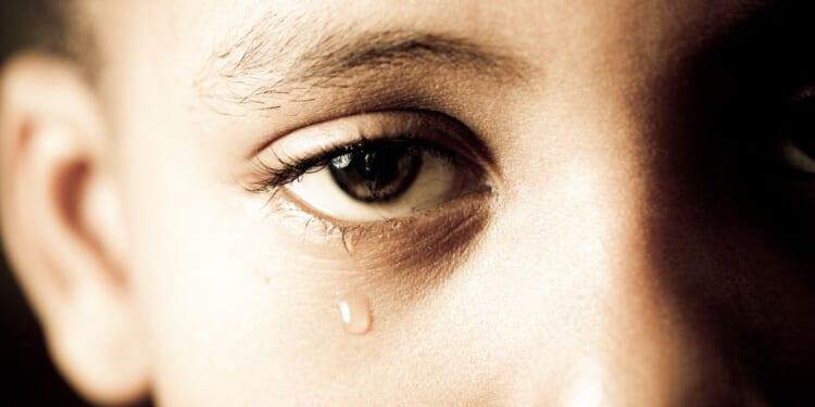 West Virginia Attorney General J.B. McCuskey filed a lawsuit against Apple Inc., alleging the company knowingly allowed its iCloud platform to be used as a vehicle for distributing and storing child sexual abuse material, and for years chose to do nothing about it.