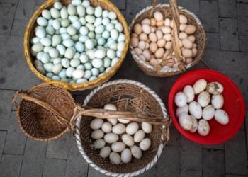 IVF Is Not the Answer to the Fertility Crisis