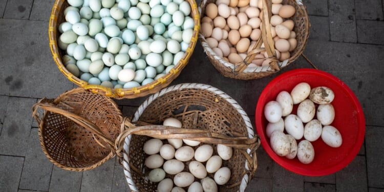 IVF Is Not the Answer to the Fertility Crisis