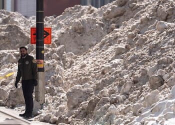 Mamadani Says No Arrests Should Be Made After Two Cops Injured in Snowball Assault in City Park – PJ Media