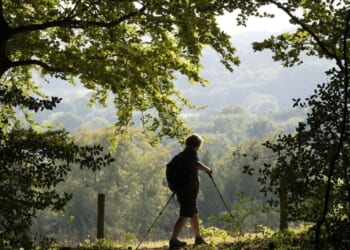 No, the English countryside is not ‘too white’