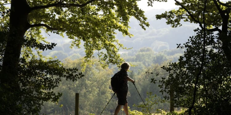 No, the English countryside is not ‘too white’