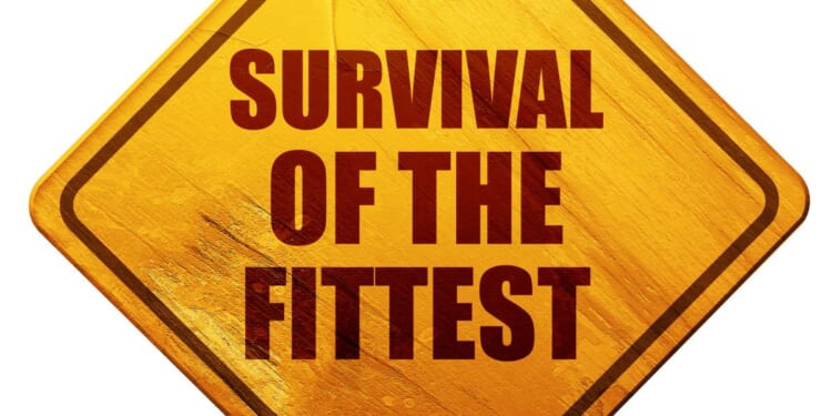 Survival of the Least Fit