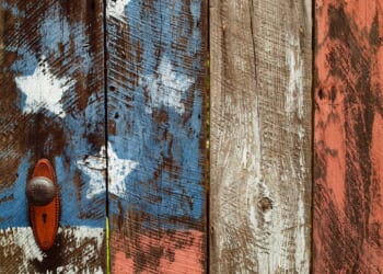 The Great Replacement, American Style