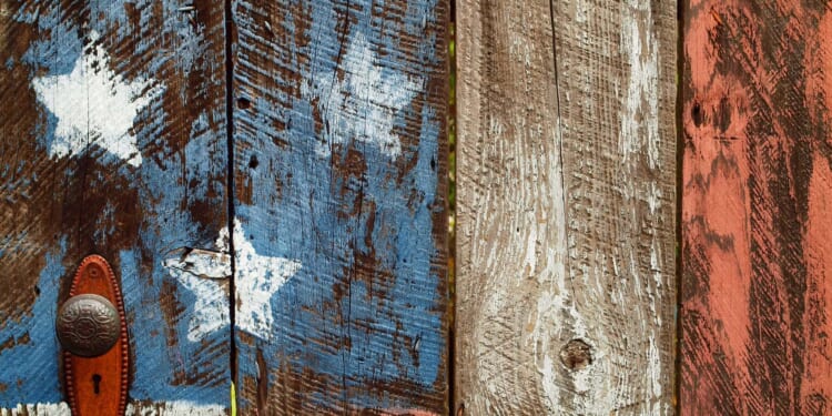 The Great Replacement, American Style