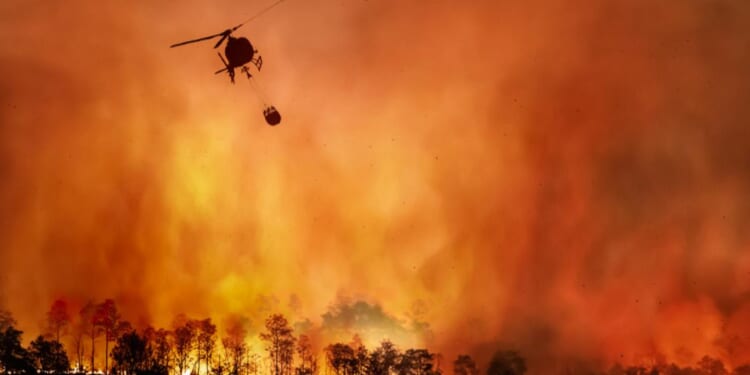 The Idiocracy that Is California Politics