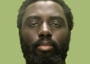 The Valdo Calocane case confirms it: wokeness kills