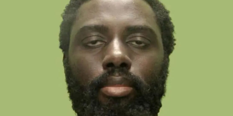 The Valdo Calocane case confirms it: wokeness kills