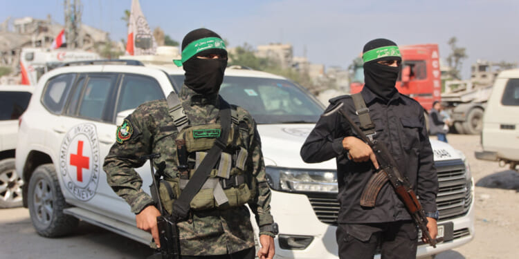 The shameful disinformation over the Gaza death toll