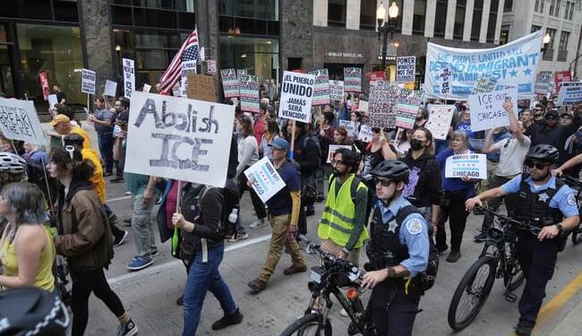 They Only Attack When They Sense Weakness – PJ Media