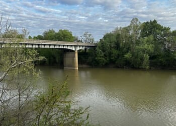 Why Self-Taught Minds Are the Future – PJ Media