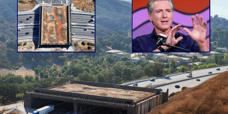 $114M Wildlife Crossing faces budget overruns and delay to late 2026 – One America News Network