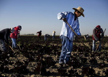 As Anti-ICE Protests Rage, Illegal Alien Labor Abuses Thrive - Liberty Nation News