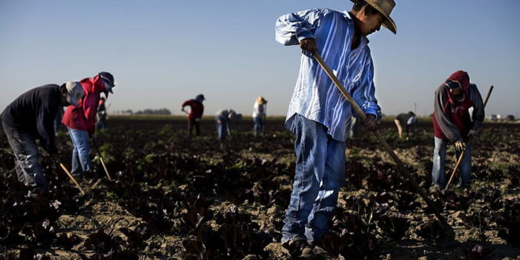 As Anti-ICE Protests Rage, Illegal Alien Labor Abuses Thrive - Liberty Nation News