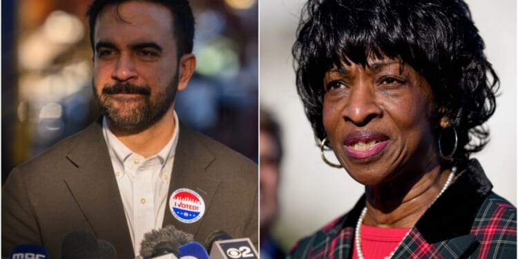 Mamdani Donor Attack on Democratic Incumbent Fails