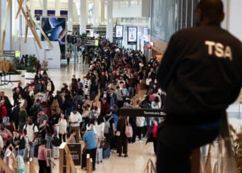 Most TSA employees have received back pay amidst partial gov’t shutdown – One America News Network
