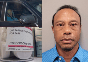 2 Hydrocodone pills discovered in Tiger Woods’ possession following 2-vehicle rollover crash – One America News Network