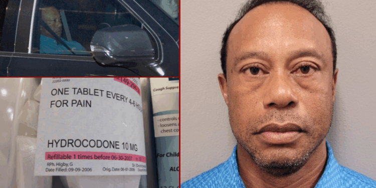 2 Hydrocodone pills discovered in Tiger Woods’ possession following 2-vehicle rollover crash – One America News Network