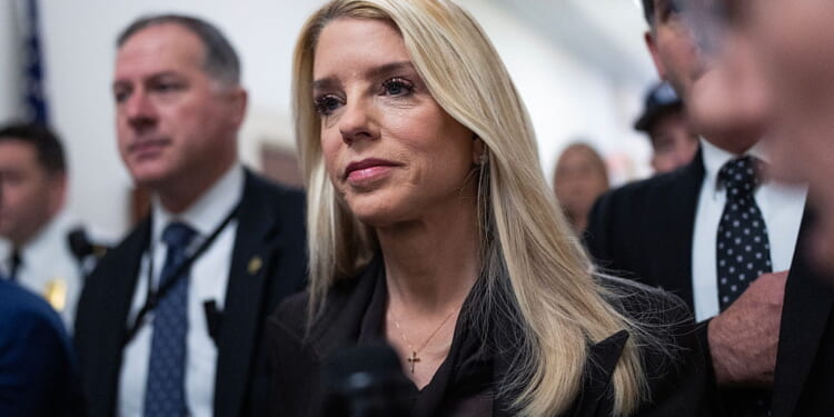 A Government in Need of Protection?