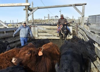 A Massive Meatpacking Strike Arrives at the Worst Possible Time for Beef Prices – PJ Media