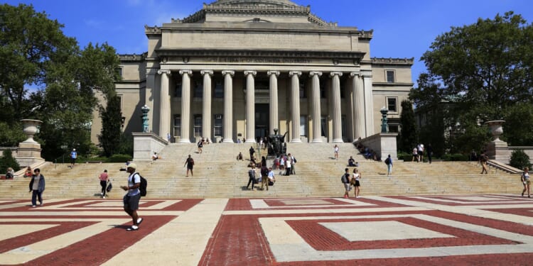 A Roadmap to Take Back Higher Education