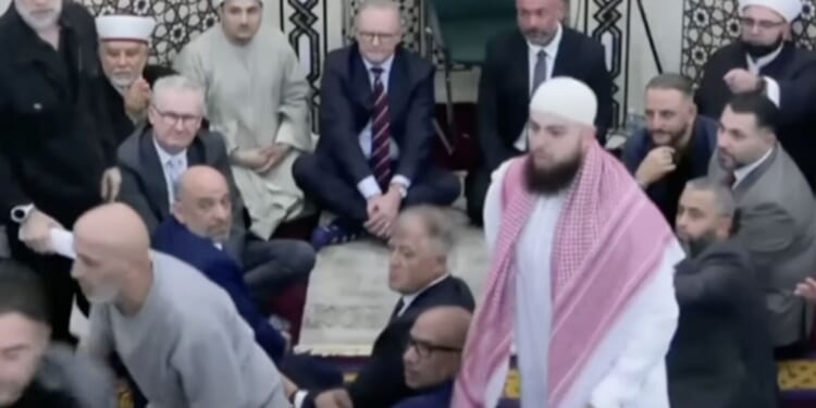 Albanese’s appeasement of militant Islam has come back to bite him