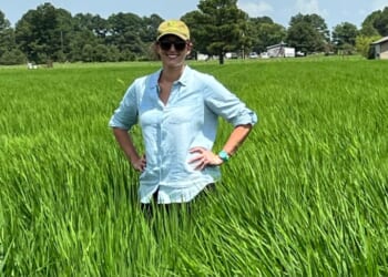 Arkansas Dem Running for Senate on 'Fairness' Platform Backed Race-Based Hiring and Admissions Policies