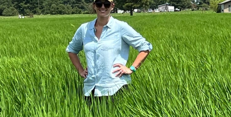 Arkansas Dem Running for Senate on 'Fairness' Platform Backed Race-Based Hiring and Admissions Policies