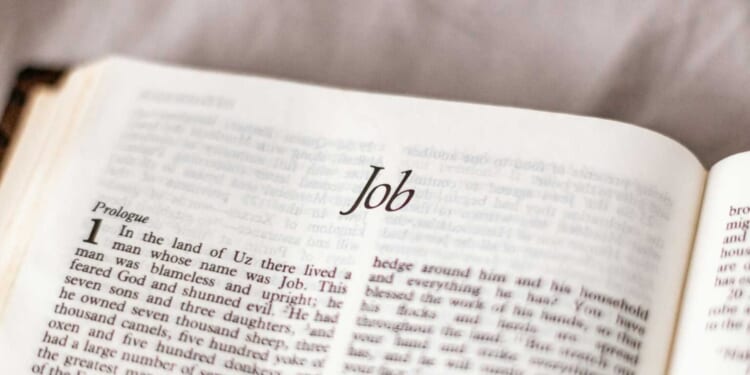 Autumn Miles: What Job Teaches Us When God Feels Silent in Our Suffering