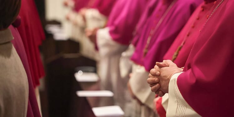 Birthright Citizenship and the Catholic Bishops