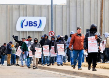 Colorado Beef Plant Strike Reveals Food Supply Vulnerabilities