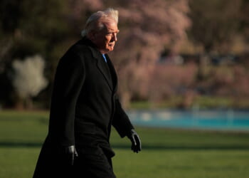 Experts Say Democracy Is Eroding – But Their Bias Is Showing