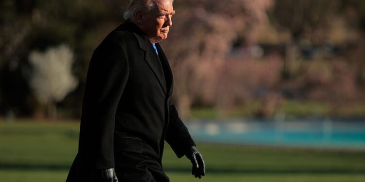 Experts Say Democracy Is Eroding – But Their Bias Is Showing