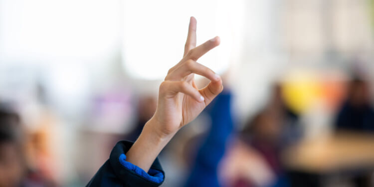 Ofsted is pushing the bigotry of low expectations