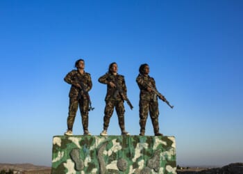 Revenge of the Kurds