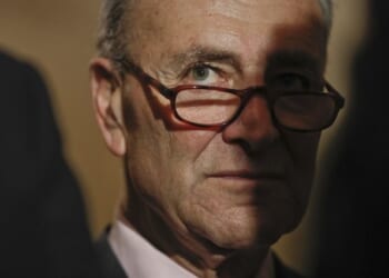 Schumer’s Simple Question Problem – PJ Media