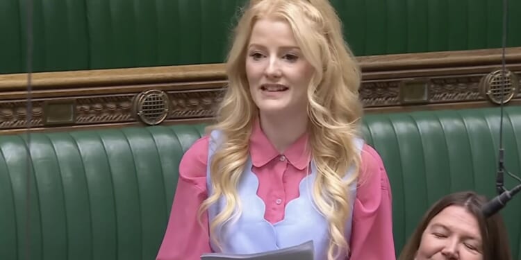 The Amazing Adventures of Hannah the Plumber