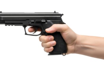 The State’s Favorite Fallacy: The Cudgel in a Suit