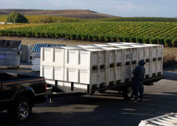 Toxic California Produce Raises Alarms