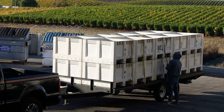 Toxic California Produce Raises Alarms
