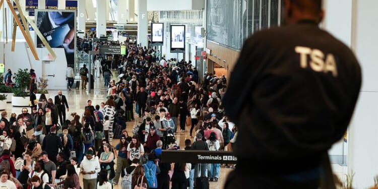 Trump signs EO ensuring TSA workers are paid amid partial DHS shutdown – One America News Network