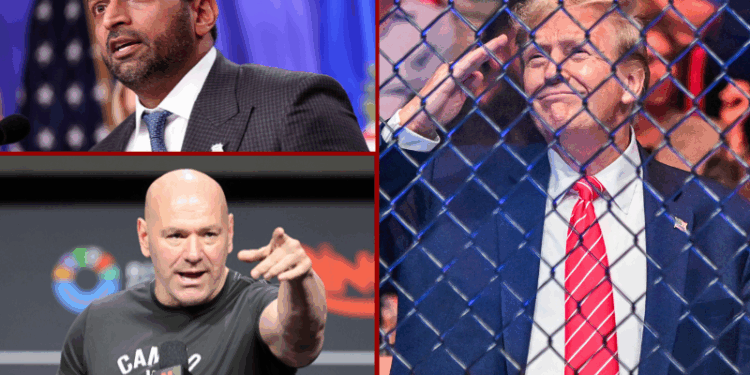 UFC and FBI announce training partnership at Quantico Academy – One America News Network