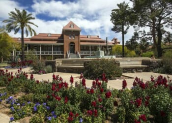 University of Arizona Offers Climate Disaster ‘Sexual Health’ Kits – PJ Media
