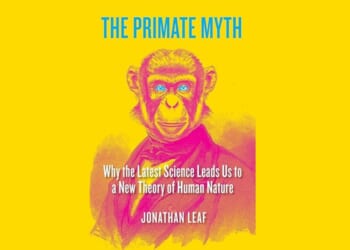 You’re Not a Monkey’s Uncle