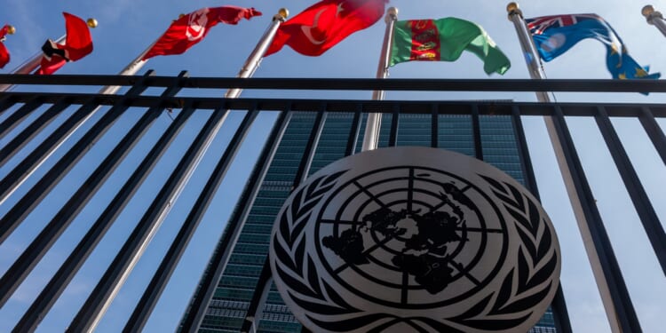 UN Agencies Are Stonewalling a Probe Into Their Employees