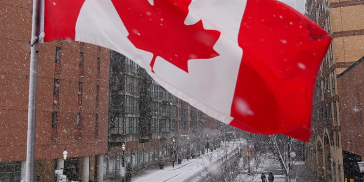 Canada's Socialists in Victimhood Games at Leadership Convention