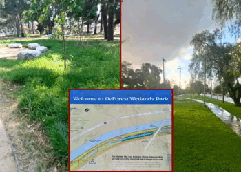 Child’s skull discovered at Long Beach park during Easter egg hunt – One America News Network