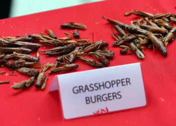 Fake Meat Withers on the Propaganda Vine